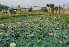 Bán nhà mặt phố rộng lớn tại xã Xuân Thới Sơn Hóc Môn giá ưu đãi... Bán nhà mặt phố tại Xuân Thới Sơn, Hồ Chí Minh 04