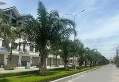 Bán chung cư mini 6tầng thang máy , phân lô kdt hinode kim chung 25pkk... Bán chung cư mini tại Hoài Đức, Hà Nội 06