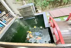 Siêu biệt thự liền kề đẳng cấp giữa trung tâm sôi động... Bán biệt thự, liền kề tại Tân Sơn Nhất, Hồ Chí Minh 06