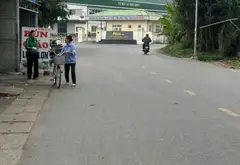 Bán đất phân lô hướng Đông Nam tại Thị trấn Lưu Kiếm, Thủy Nguyên, Hải Phòng... Bán đất tại Lưu Kiếm, Hải Phòng 02