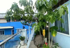Nhà Phú Nhuận 4PN, 2 mặt hẻm, ô tô gần sát nhà... Bán nhà riêng tại Phú Nhuận, Hồ Chí Minh 07