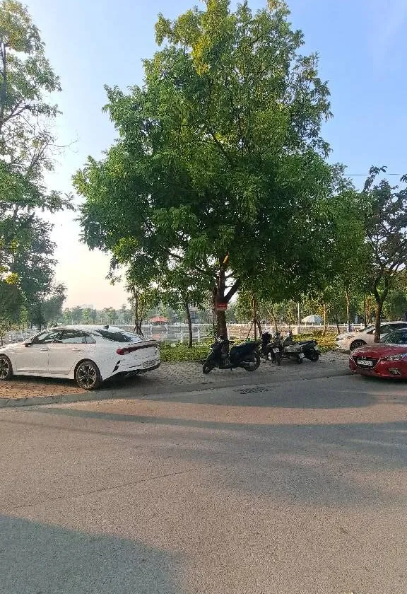 BÁN ĐẤT TẶNG NHÀ XƯỞNG ĐANG KINH DOANH . VỊ TRÍ CỰC ĐẸP 2 MẶT ĐƯỜNG VỈA HÈ OTO TRÁNH KINH DOANH ĐỈN... Bán nhà mặt phố tại Việt Hưng, Hà Nội 01