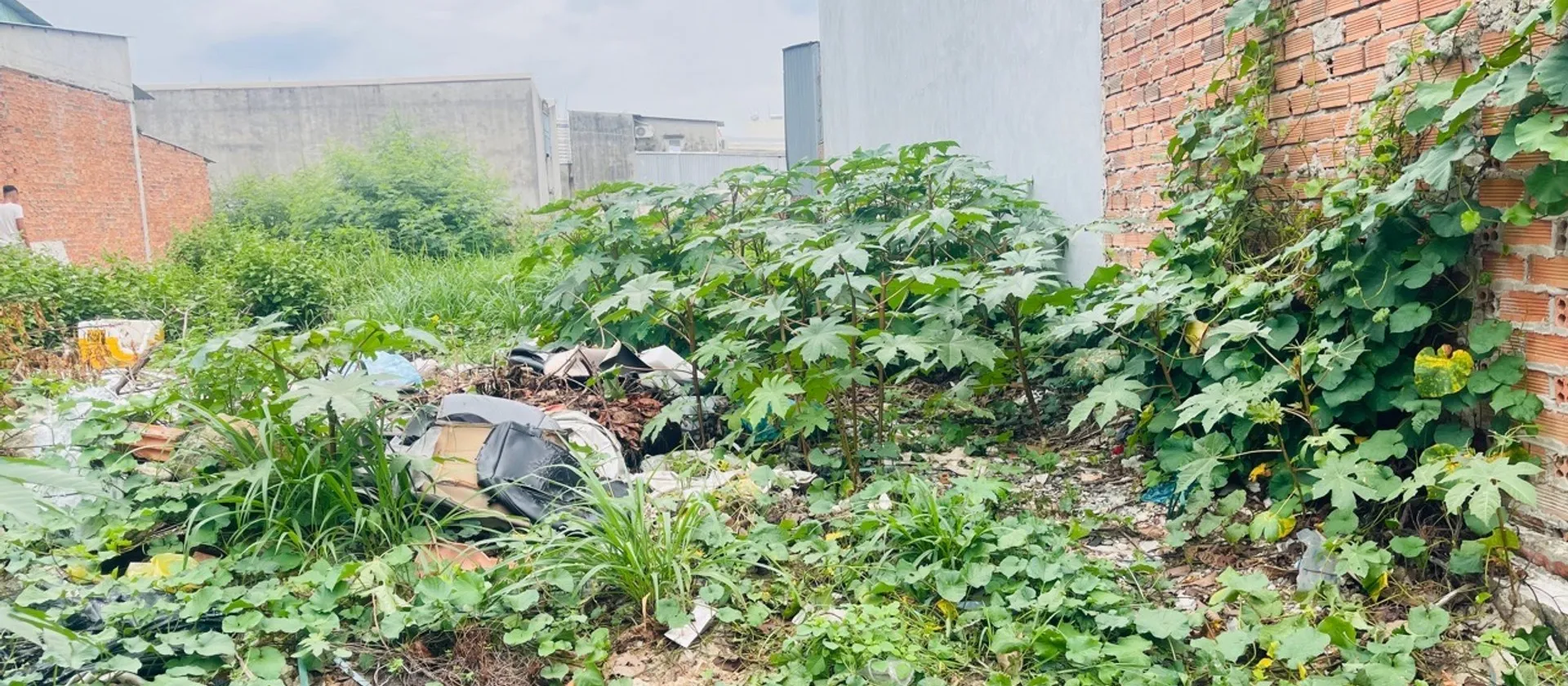 Bán nhà mặt phố diện tích 297m² tại phường Đông Hòa, TP.HCM... Bán nhà mặt phố tại Đông Hòa, Hồ Chí Minh 01