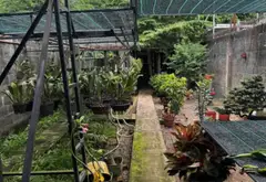 Bán nhà 300m chợ Thới Tứ, Hóc Môn, nhựa thông, 8.x tỷ... Bán nhà mặt phố tại Đông Thạnh, Hồ Chí Minh 15