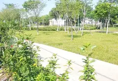 Khu Đất Vàng Đắc Địa Phường Tân Hưng Quận 7... Bán partner tại Tân Hưng, Hồ Chí Minh 02