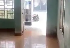 Nhà 2 tầng, diện tích 76.5m2, 5m mặt tiền tại Tân Bình... Bán nhà riêng tại Tân Sơn, Hồ Chí Minh 09