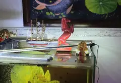 Bán nhà mặt phố Phường Thới An, 5PN, 5 tầng, diện tích 28.2 m2, pháp lý rõ ràng... Bán nhà mặt phố tại Thới An, Hồ Chí Minh 07