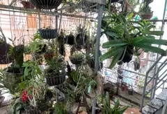 Nhà 4 tầng hẻm xe hơi ngay trung tâm, giá tốt không thể bỏ lỡ... Bán nhà riêng tại Bình Tân, Hồ Chí Minh 13