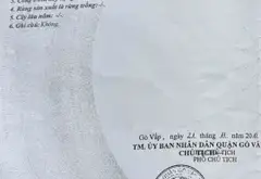 3,9 Tỉ ( TL ) - 48m2 - HXH nhỏ - Nhà cũ tiện cải tạo hoăc xây mới . Phạm Văn Chiêu . Căn góc thoáng... Bán nhà riêng tại An Hội Đông, Hồ Chí Minh 01