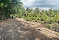Đất Vuông Vắn Sát Đường Lớn Tại Bình Lợi, Bình Chánh... Bán đất tại Bình Lợi, Hồ Chí Minh 08