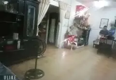 Nhà mặt phố rộng rãi, vị trí vàng tại Tam Phú, Thủ Đức... Bán nhà mặt phố tại Tam Bình, Hồ Chí Minh 02
