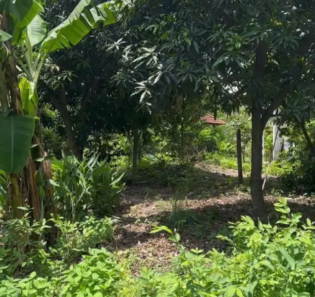 Nhà mặt phố Nguyễn Ảnh Thủ, diện tích lớn 2200m, tại Hóc Môn... Bán nhà mặt phố tại Đông Thạnh, Hồ Chí Minh 01