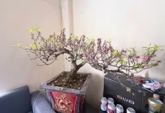 Căn hộ 2 phòng ngủ tại Tựu Liệt với không gian rộng 50m²... Bán căn hộ chung cư tại Thanh Trì, Hà Nội 03