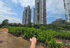 Lô góc 3 mặt thoáng view Landmark Ecopark tại Phụng Công... Bán đất tại Phụng Công, Hưng Yên 07
