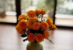 Bán nhà liền kề kđt Văn Khê lô góc ,45m2, 5 tầng, phân lô ô tô vỉa hè tại phường trung tâm... Bán partner tại Hà Đông, Hà Nội 08