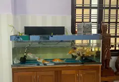 Bán nhà, mặt tiền, Doãn Ẩn, 108m x 3 tầng, giá 13.2 tỷ, thương lượng... Bán nhà mặt phố tại Ngũ Hành Sơn, Đà Nẵng 12