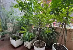 Bán nhà mặt phố Nguyễn Ngọc Nại, 55m², 4 tầng, vị trí kinh doanh sầm uất... Bán nhà mặt phố tại Phương Liệt, Hà Nội 15