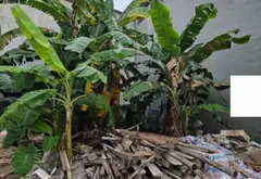 Bán nhà riêng tại trung tâm Chúc Sơn - Chương Mỹ, diện tích 32m², pháp lý rõ ràng... Bán nhà riêng tại Chương Mỹ, Hà Nội 05