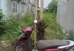 Đất bán mặt đường thông kinh doanh phường Thiên Hương Hải Phòng diện tích rộng... Bán đất tại Thiên Hương, Hải Phòng 03