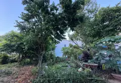 1.420M² MT TRẦN QUANG KHẢI – QUỸ ĐẤT HIẾM SƠN TRÀ | 📲 0762 658 925, Đà Nẵng - 84 tỷ... Bán nhà mặt phố tại Sơn Trà, Đà Nẵng 05