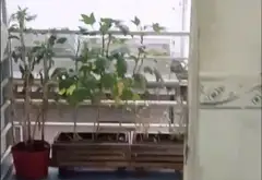 Căn hộ 2 phòng ngủ hẻm xe hơi tại quận trung tâm giá tốt... Bán căn hộ chung cư tại Nhiêu Lộc, Hồ Chí Minh 05