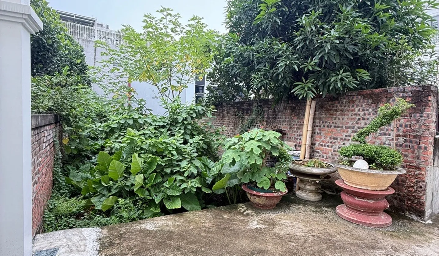 Cơ Hội Vàng Sở Hữu Lô Đất Đẹp Tại Phủ Thượng Đoạn Với Hướng Đông Nam... Bán đất tại Đông Hải, Hải Phòng 01