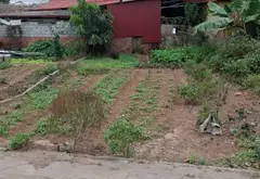 Cơ Hội Vàng Sở Hữu Đất Mặt Tiền Gần Trung Tâm Văn Giang, Giá Đầu Tư Hiếm Có... Bán đất tại Văn Giang, Hưng Yên 10