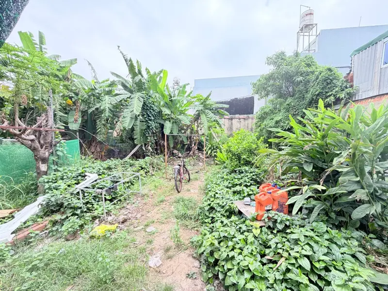 Bán đất 81.4m2 hướng Nam phường Long Trường Quận 9 giá 3.7 tỷ... Bán đất tại Long Trường, Hồ Chí Minh 01