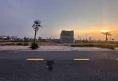 Đất dịch vụ đầu cầu Thủy Nguyên - Cơ hội đầu tư hiếm có giá tốt... Bán đất tại Nam Triệu, Hải Phòng 02