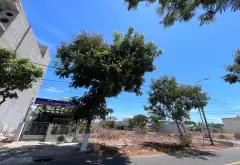Lô góc mặt tiền rộng 2 mặt đường Tân Trà, Ngũ Hành Sơn cần bán gấp... Bán đất tại Ngũ Hành Sơn, Đà Nẵng 04