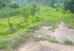 Bán đất rộng 1800m² tại xã Trung Giã, địa thế đẹp hướng hồ, lưng tựa núi... Bán đất tại Trung Giã, Hà Nội 03