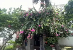 Bán đất thổ cư 75m2 mặt tiền 5m hướng Nam tại Võ Nguyên Giáp, quận Đông Anh... Bán đất tại Phúc Thịnh, Hà Nội 01