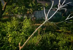 Bán đất 150m² mặt tỉnh lộ 295 tại xã Hiệp Hòa, Bắc Ninh... Bán đất tại Hiệp Hòa, Bắc Ninh 11
