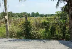 Bán đất thổ cư 5583m2 mặt tiền 35m tại Bình Lợi, Bình Chánh... Bán owner_side tại Bình Lợi, Hồ Chí Minh 06