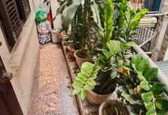 Bán nhà riêng 4 tầng tại Hoàng Như Tiếp, diện tích 49m2... Bán nhà riêng tại Bồ Đề, Hà Nội 08