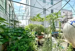 Nhà phố 6 tầng mặt tiền rộng, khu cán bộ yên tĩnh, xe hơi ngủ nhà... Bán nhà mặt phố tại Đức Nhuận, Hồ Chí Minh 17