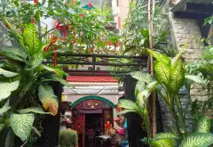 Nhà 3 tầng 3 phòng ngủ hẻm xe hơi khu Bông Sao giá 5.5 tỷ... Bán nhà riêng tại Bình Đông, Hồ Chí Minh 01