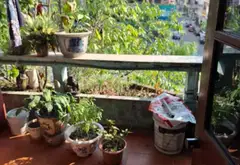 Nhà phố ba tầng sang trọng tại phường Hạ Long, tâm điểm kinh doanh đắt giá... Bán nhà mặt phố tại Hạ Long, Quảng Ninh 10