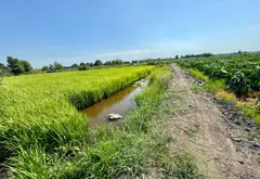 Bán đất 2000m2 mặt tiền kênh xã Lê Minh Xuân, Bình Chánh... Bán đất tại Bình Lợi, Hồ Chí Minh 10