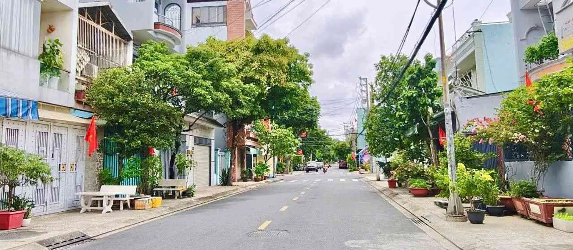 MTKD KHU HỌ LÊ – TÂN PHÚ | 7 TẦNG + THANG MÁY | 50TR/THÁNG 6.05x19m... Bán nhà mặt phố tại Phú Thạnh, Hồ Chí Minh 01