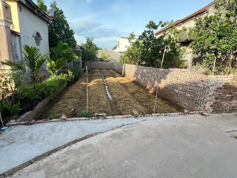 Bán 100m đất Đông Tảo, Khoái Châu, chỉ 1.95 tỷ... Bán đất tại Hoàn Long, Hưng Yên 01