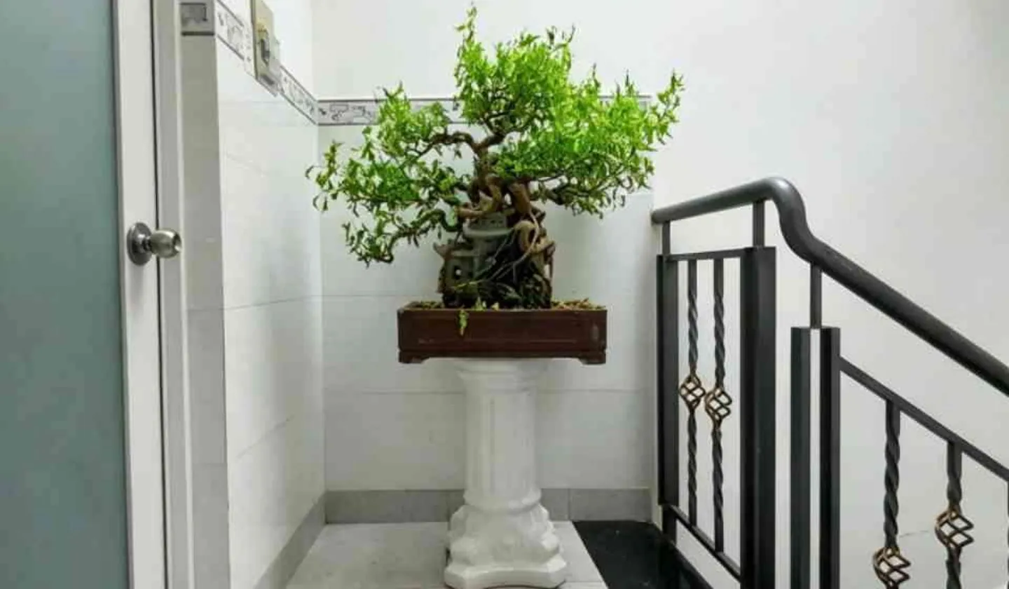Nhà Hẻm Ô Tô Tân Bình - 4 Tầng Full Nội Thất, Giá Tốt... Bán nhà riêng tại Tân Sơn Nhất, Hồ Chí Minh 01