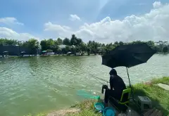 Cơ hội vàng sở hữu đất và nhà 3 tầng ngay trung tâm Quế Võ Bắc Ninh... Bán đất tại Quế Võ, Bắc Ninh 10