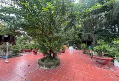 Bán nhà vườn 1 tầng 666m² tại Bình Mỹ, Củ Chi, giá hợp lý hơn 8 triệu/m²... Bán nhà riêng tại Bình Mỹ, Hồ Chí Minh 13
