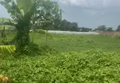 Đất rộng mặt tiền thoáng, vị trí tiện lợi tại Đông Thạnh, HCM... Bán đất tại Đông Thạnh, Hồ Chí Minh 05