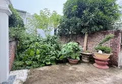 Cơ Hội Vàng Sở Hữu Lô Đất Đẹp Tại Phủ Thượng Đoạn Với Hướng Đông Nam... Bán đất tại Đông Hải, Hải Phòng 01