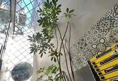 Cơ hội sở hữu nhà riêng 4 tầng kiên cố tại Đào Tông Nguyên với giá tốt... Bán nhà riêng tại Nhà Bè, Hồ Chí Minh 05