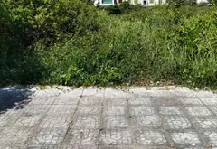 Lô đất vàng mặt tiền rộng, vị trí siêu tiện tại Liên Chiểu Đà Nẵng... Bán đất tại Liên Chiểu, Đà Nẵng 01