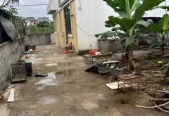 Đất Văn Giang - Đầu tư xịn, ôtô vào tận nơi
thôn quán trạch... Bán đất tại Văn Giang, Hưng Yên 06