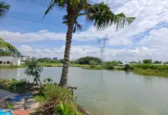 Nhà Cấp 4 Đất Rộng 8.4m Trung Tâm Lê Văn Lương - Giá Đầu Tư, Có Thương Lượng... Bán nhà riêng tại Nhà Bè, Hồ Chí Minh 12